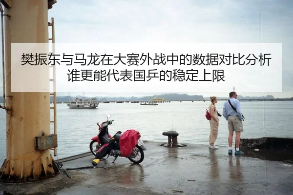 樊振东与马龙在大赛外战中的数据对比分析谁更能代表国乒的稳定上限