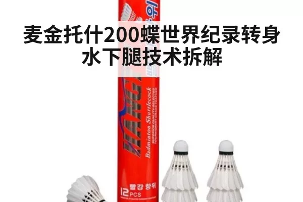 麦金托什200蝶世界纪录转身水下腿技术拆解